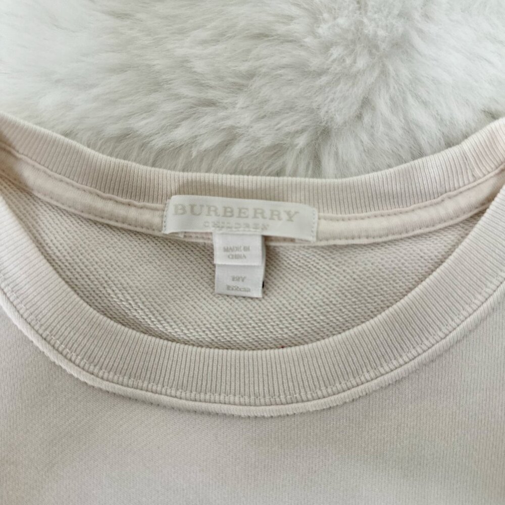 Burberry “Rain Check” Graphic Sweatshirt - Picture 7 of 9